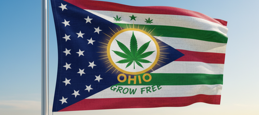 Is Weed Legal in Ohio